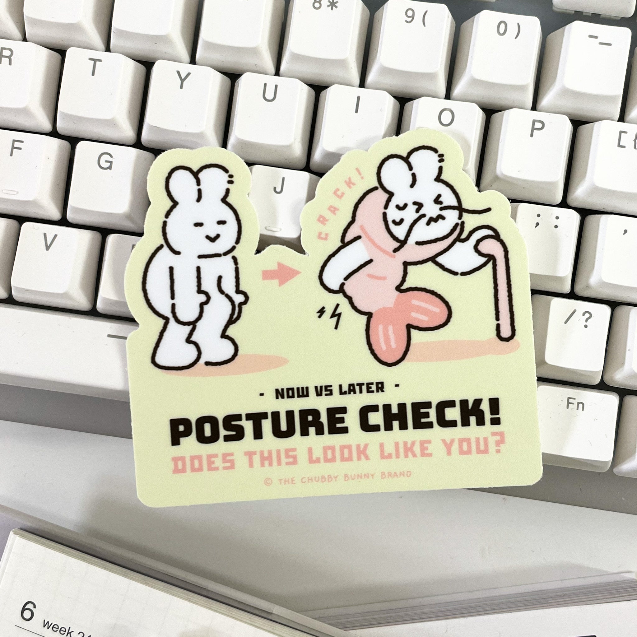 Posture Check Vinyl Sticker